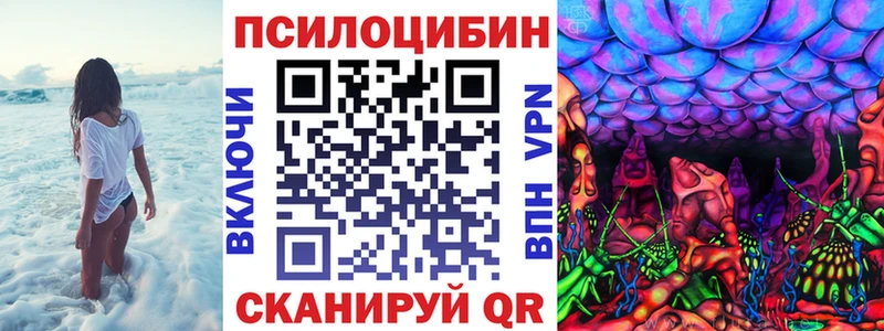 Псилоцибиновые грибы Cubensis  МЕГА ссылка  Сенгилей 